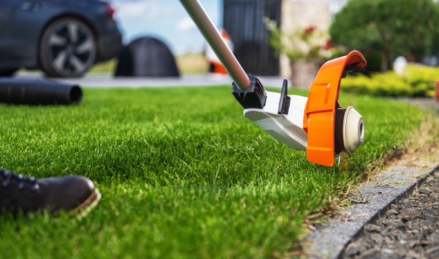LawnCare Valladares