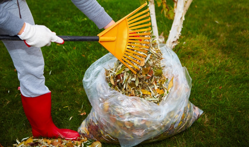 LawnCare Valladares